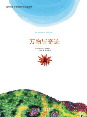 cover image of 万物皆奇迹
